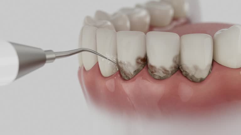 Reliable Dental contractor in Rolling Meadows, IL by Dentist Open Now